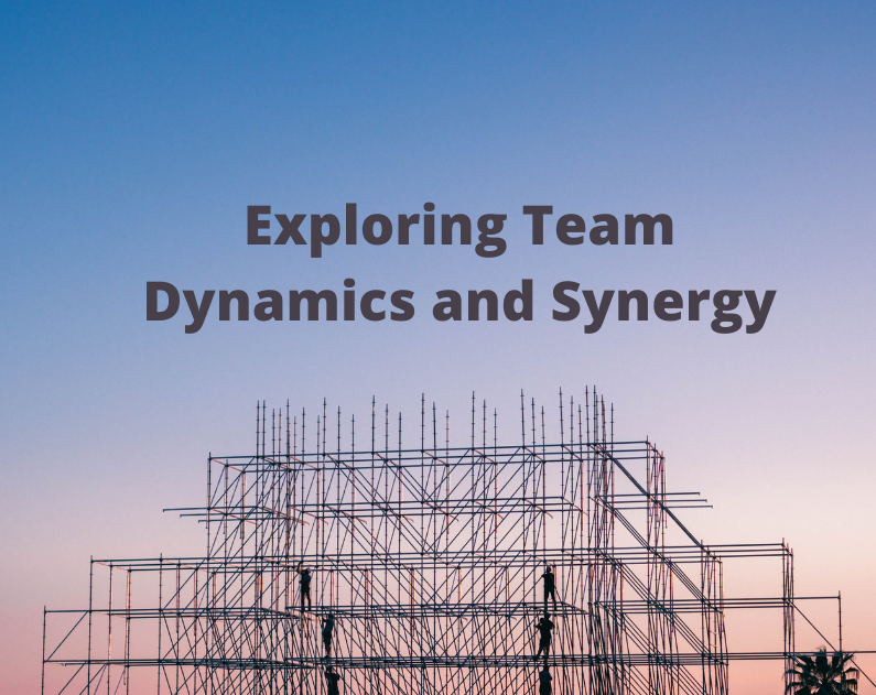 Exploring Team Dynamics and Synergy