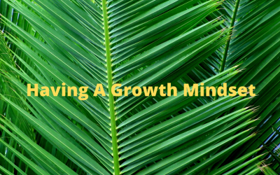 Having A Growth Mindset