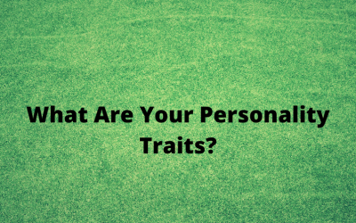 What Are Your Personality Traits?