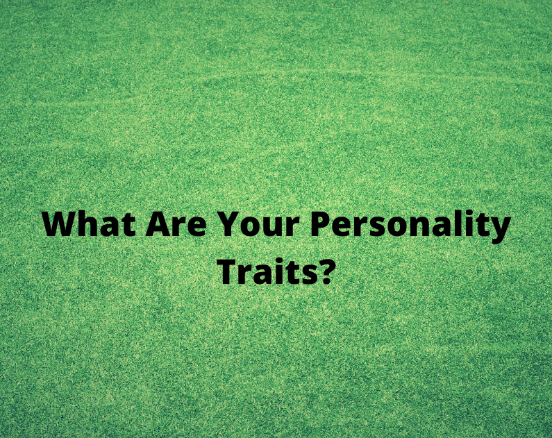 What Are Your Personality Traits?