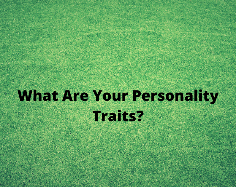 what-are-your-personality-traits-maurice-o-mahony-coaching