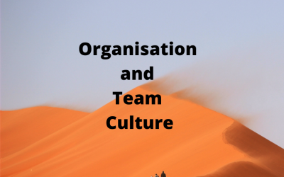 Organisation and Team Culture