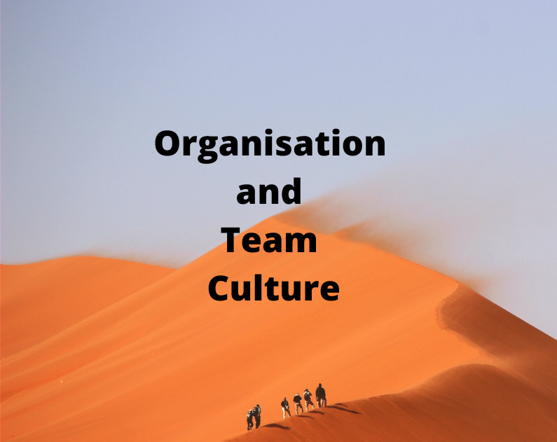 Organisation and Team Culture